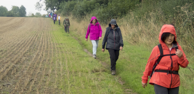 Photograph of Walking Route - Image 35