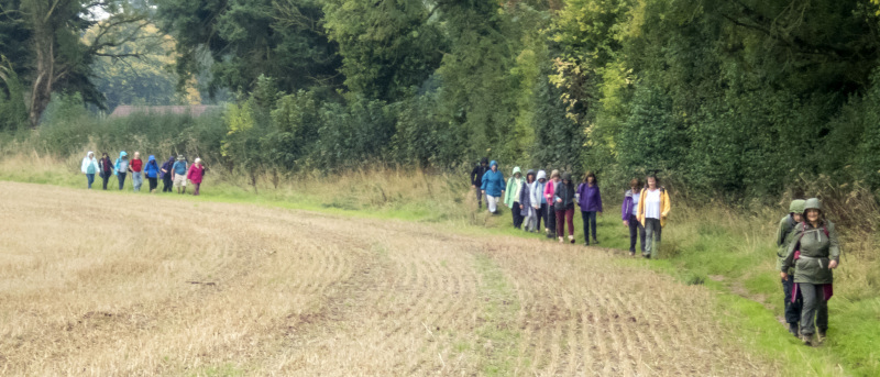 Photograph of Walking Route - Image 36