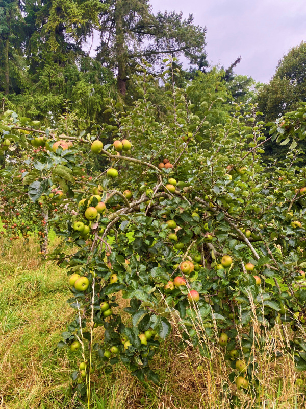Photograph of Walking Route - Image 45