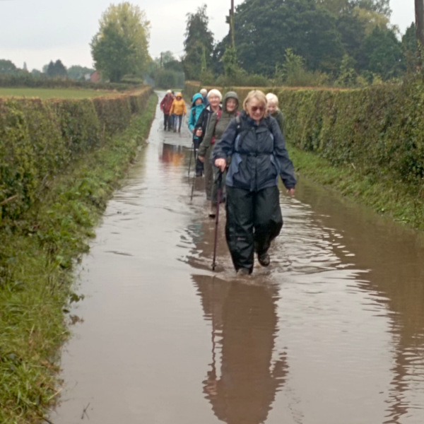 Photograph of Walking Route - Image 47
