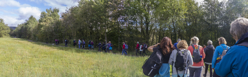 Photograph of Walking Route - Image 28