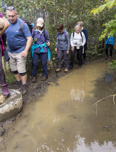 Photograph of Walking Route - Image 36