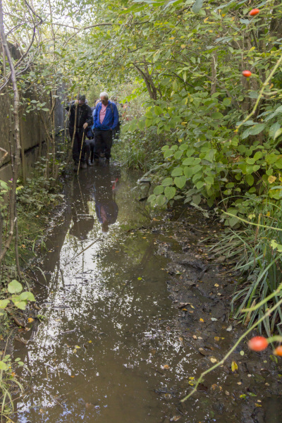 Photograph of Walking Route - Image 38