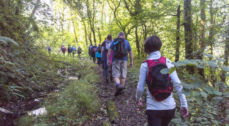 Photograph of Walking Route - Image 39