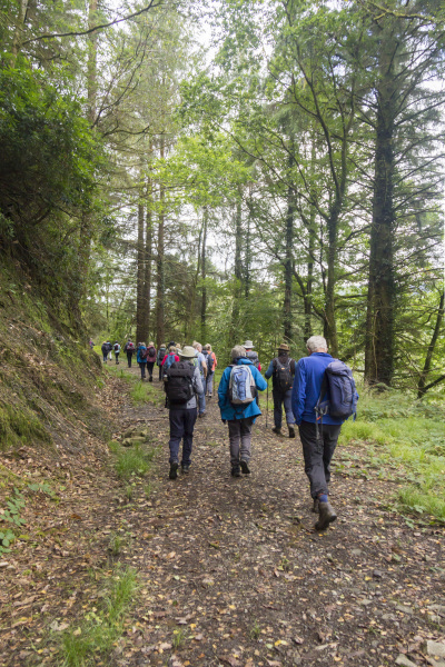 Photograph of Walking Route - Image 42