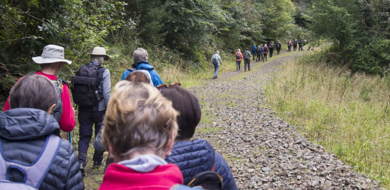 Photograph of Walking Route - Image 44