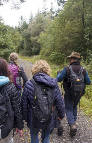 Photograph of Walking Route - Image 45