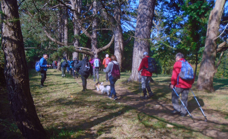Photograph of Walking Route - Image 6