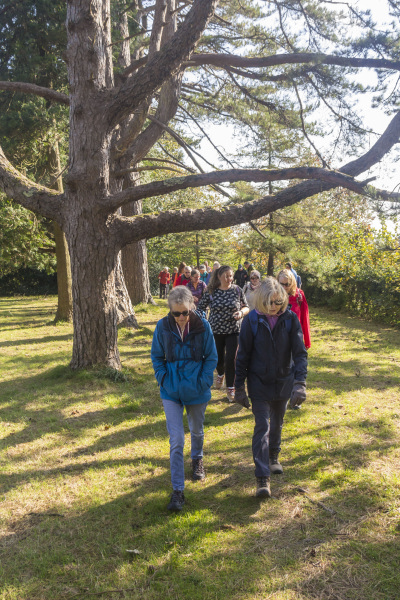 Photograph of Walking Route - Image 7