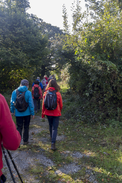 Photograph of Walking Route - Image 11