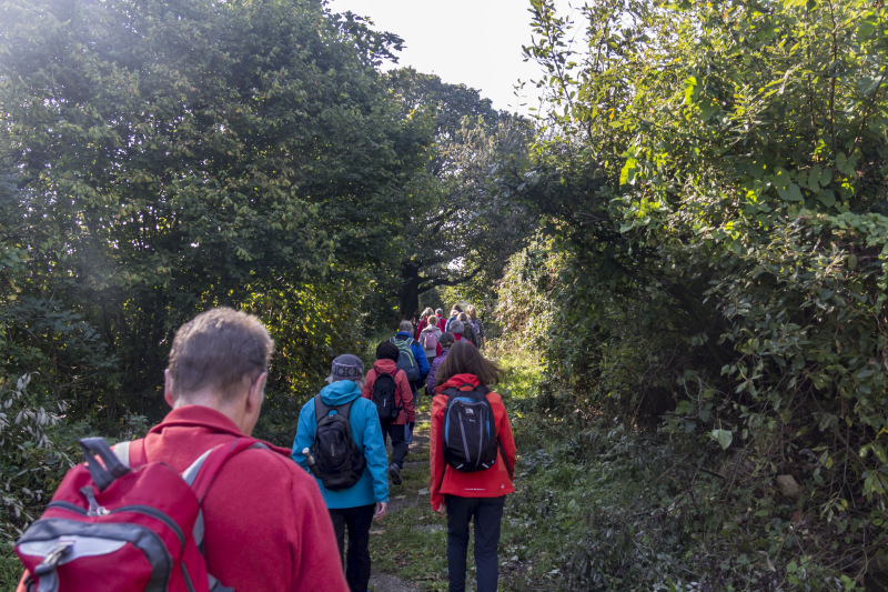 Photograph of Walking Route - Image 12