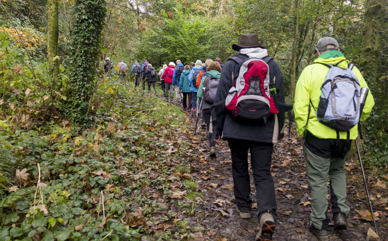 Photograph of Walking Route - Image 6