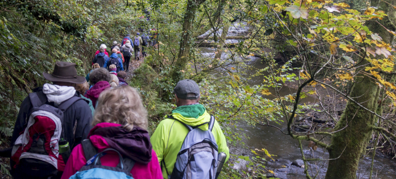Photograph of Walking Route - Image 7