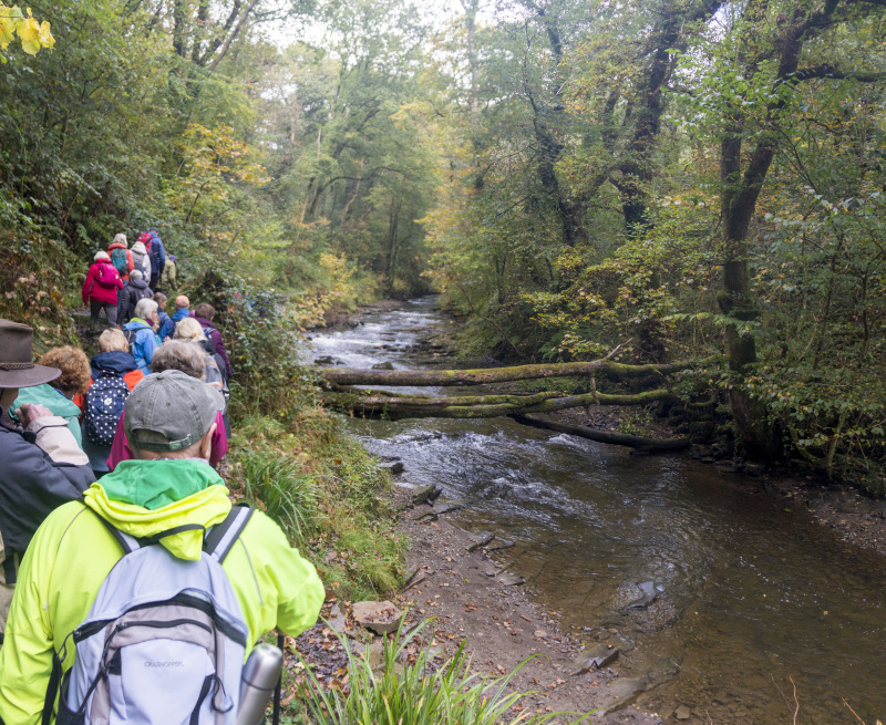 Photograph of Walking Route - Image 8
