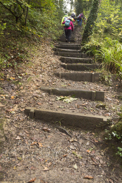 Photograph of Walking Route - Image 9