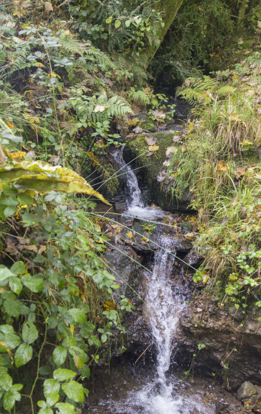 Photograph of Walking Route - Image 10