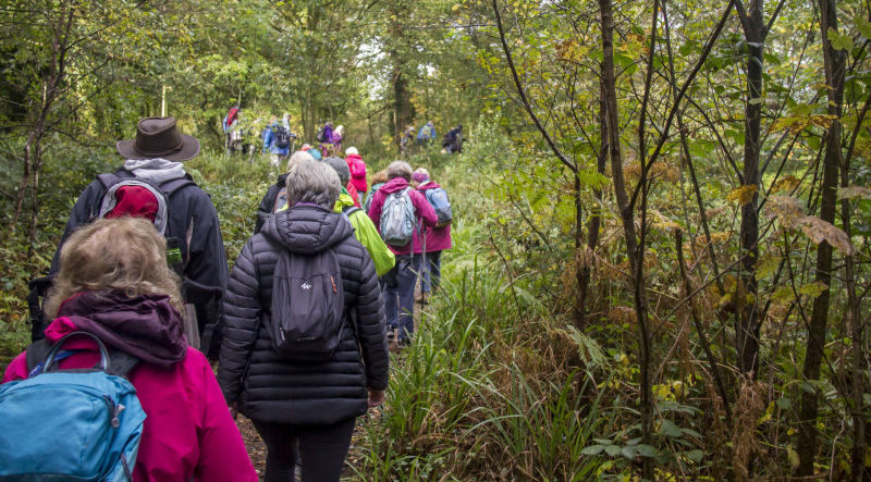 Photograph of Walking Route - Image 11