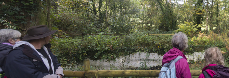 Photograph of Walking Route - Image 12
