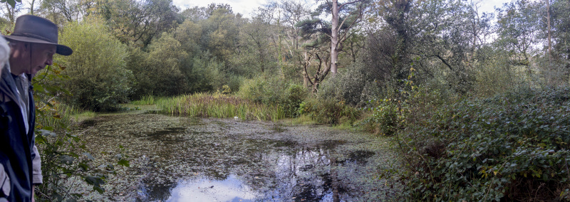 Photograph of Walking Route - Image 13