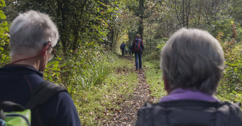 Photograph of Walking Route - Image 14
