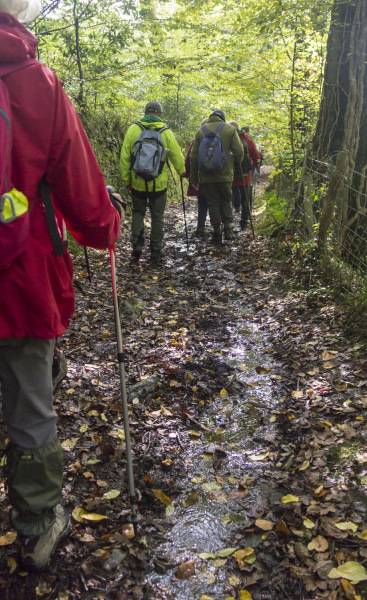 Photograph of Walking Route - Image 16