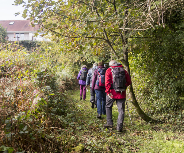 Photograph of Walking Route - Image 18
