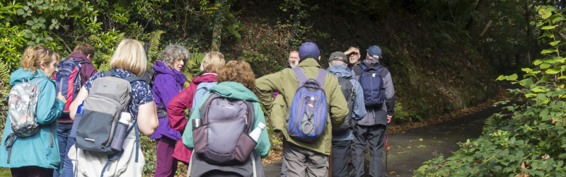 Photograph of Walking Route - Image 20