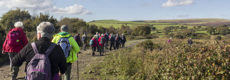 Photograph of Walking Route - Image 31