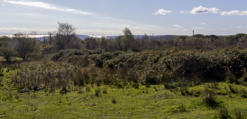 Photograph of Walking Route - Image 35