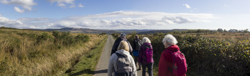 Photograph of Walking Route - Image 38