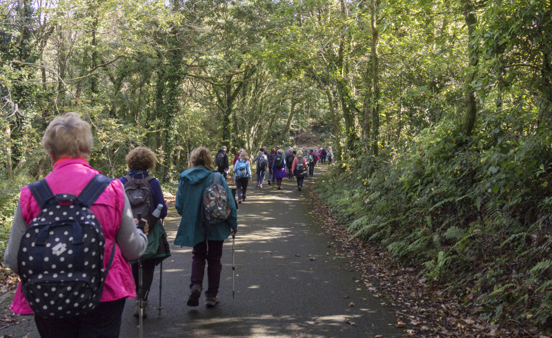 Photograph of Walking Route - Image 41