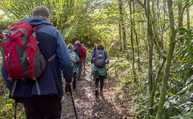Photograph of Walking Route - Image 42