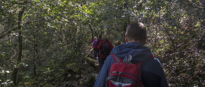 Photograph of Walking Route - Image 43