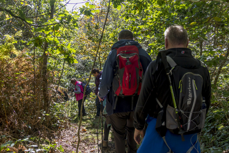 Photograph of Walking Route - Image 44