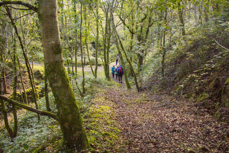 Photograph of Walking Route - Image 45