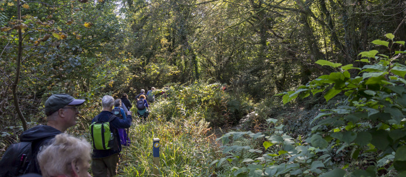 Photograph of Walking Route - Image 48