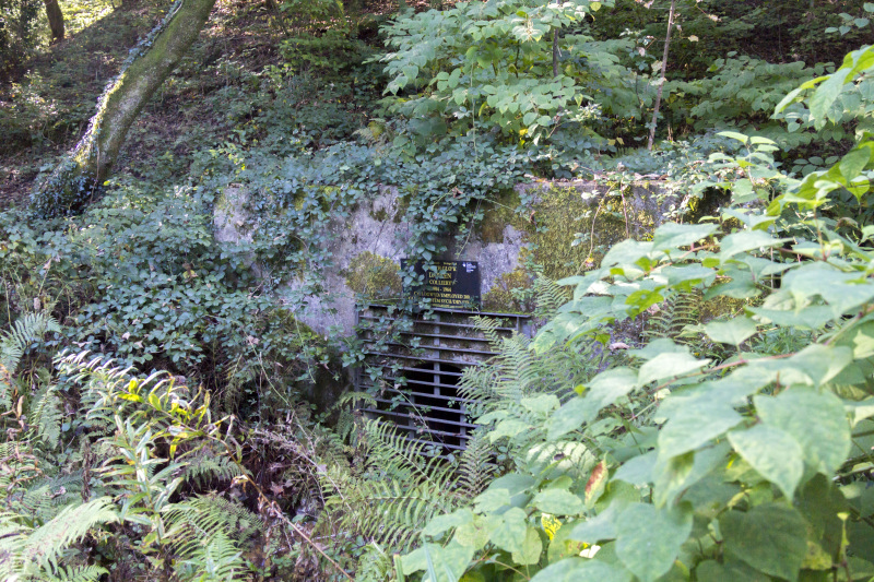 Photograph of Walking Route - Image 49