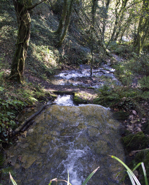 Photograph of Walking Route - Image 51