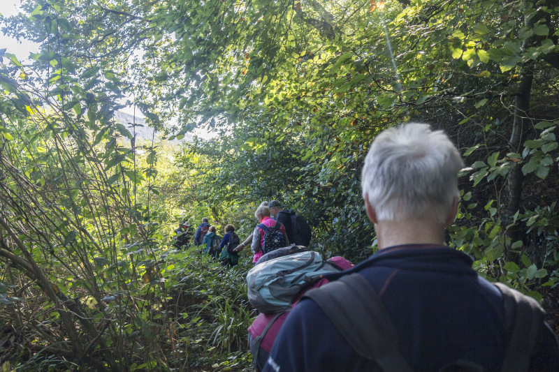 Photograph of Walking Route - Image 52