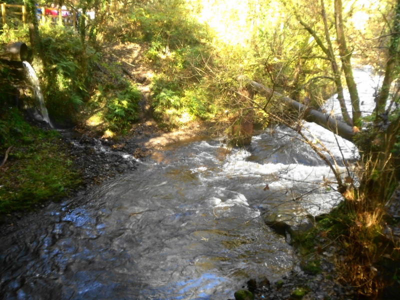 Photograph of Walking Route - Image 2