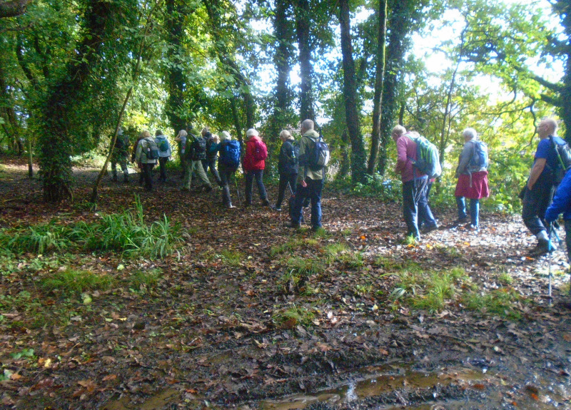 Photograph of Walking Route - Image 5