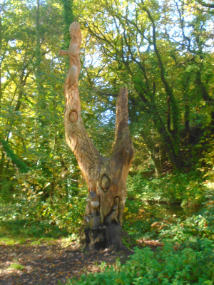 Photograph of Walking Route - Image 6