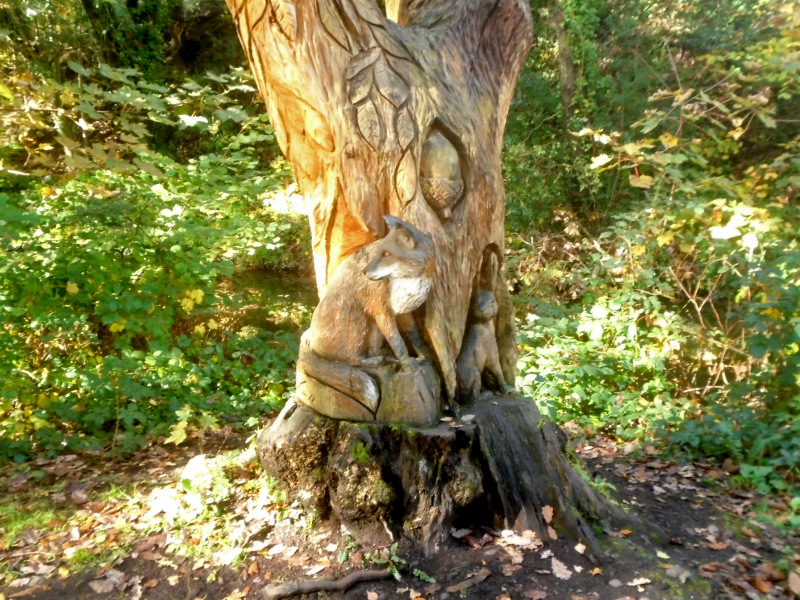 Photograph of Walking Route - Image 7