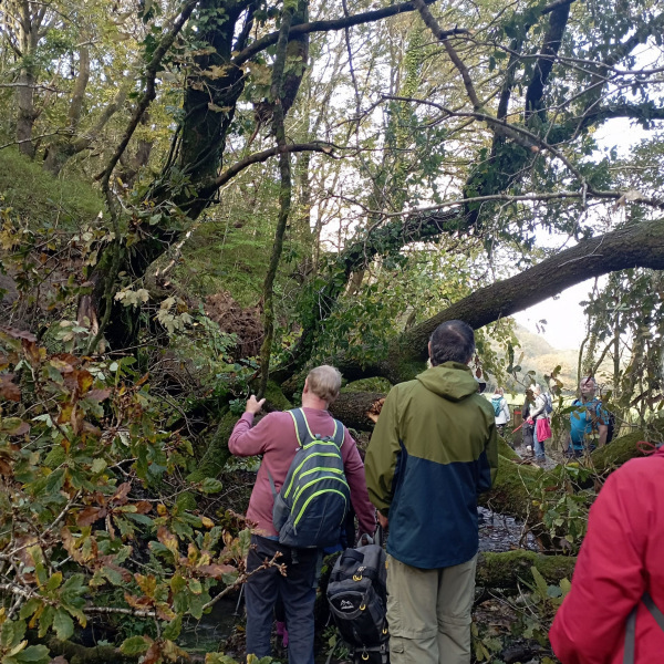 Photograph of Walking Route - Image 15