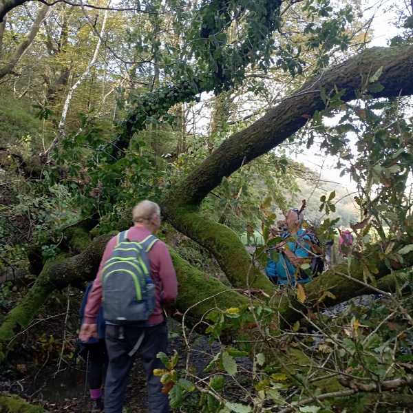 Photograph of Walking Route - Image 17