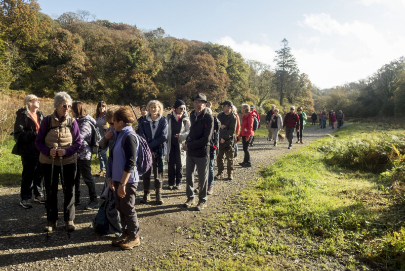 Photograph of Walking Route - Image 8