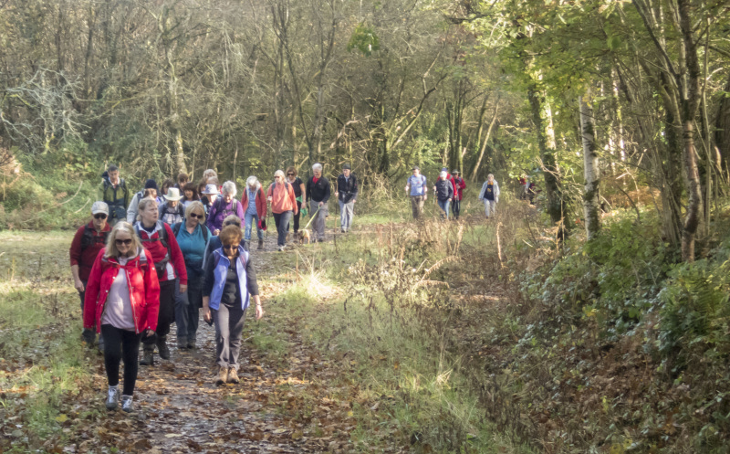 Photograph of Walking Route - Image 10