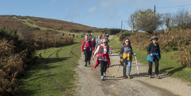 Photograph of Walking Route - Image 13