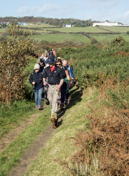 Photograph of Walking Route - Image 23