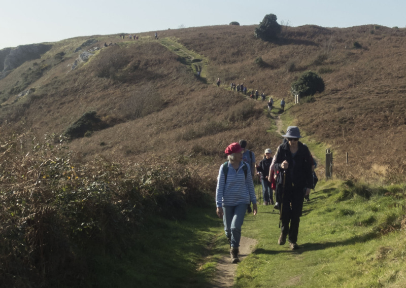 Photograph of Walking Route - Image 27